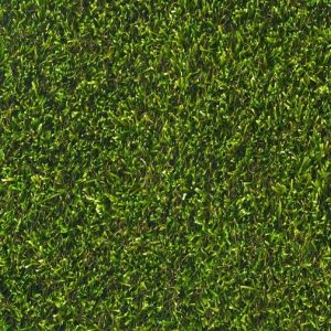 Artificial Grass
